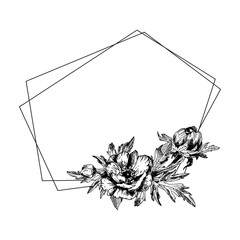 Anemone floral botanical flowers with geometric frame.