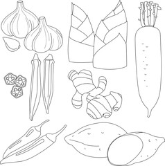 色々な野菜や薬味のイラスト（線画）