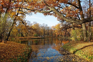 various nature landscape places at the daytime