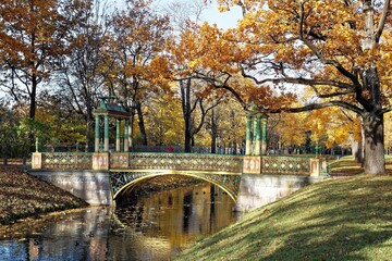 various nature landscape places at the daytime