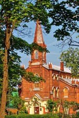 various nature landscape places at the daytime