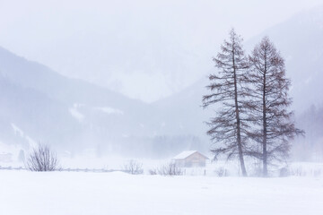 Snow blizzard in the Tures valley.