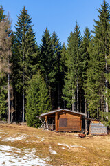 Jagdhütte im Frühling bei Sonnenschein im Thüringer Wald - 420754178