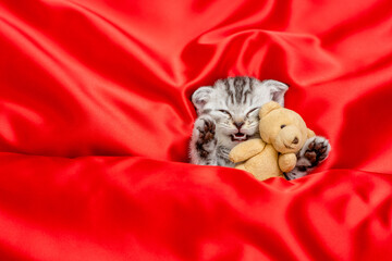 Tiny kitten sleeps under blanket on a red satin bedding and hugs favorite toy bear. Top down view....