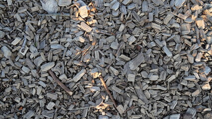 bark chippings with sunlight 