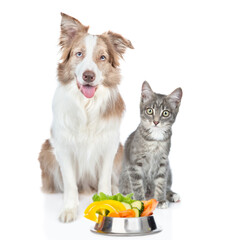 Border collie dog and kitten sit with a bowl of vegetables. Isolated on white background