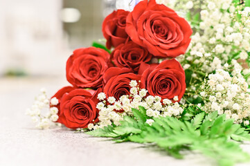 red rose flower with green leaves and white flowers,