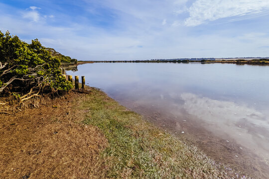 Lake Connewarre Wildlife Reserve In Australia