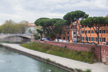 Fototapeta premium Tiber Island, Rome, Lazio, Italy, view of isola Tiberina, an island in Tiber river, with Fatebenefratelli Hospital and Ponte Fabricio bridge, summer view, Italia