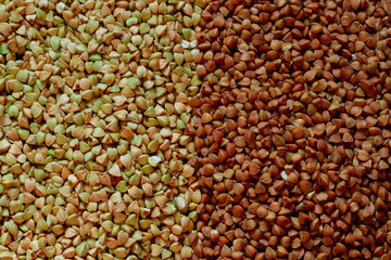 Buckwheat background. Green unroasted buckwheat and brown fried buckwheat
