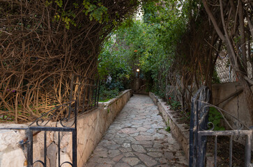 Evening  view of a quiet residential David Markus Street in the old district of Jerusalem Talbia - Komiyum in Jerusalem, Israel