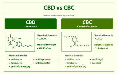 CBD vs CBC, Cannabidiol vs Cannabielsoin horizontal infographic illustration about cannabis as herbal alternative medicine and chemical therapy, healthcare and medical vector.