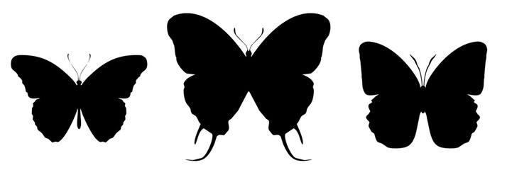 Three black butterflies icon, isolated on white background