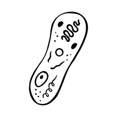 science doodle elements