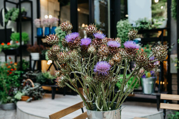 Eco cafe, flower studio and shop in city, elements decor and rustic style in outdoor interior
