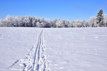 Fototapeta na wymiar Brdy Hills region during winter time with clear blue skies, Czech Republic.