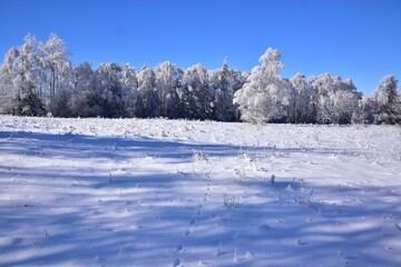Brdy Hills region during winter time with clear blue skies, Czech Republic.