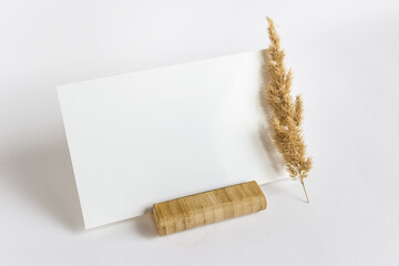 Mockup template with blank empty card on wooden stand with dry fluffy plant branch on white...