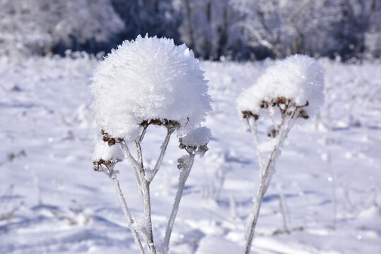 Brdy Hills region during winter time with clear blue skies, Czech Republic.