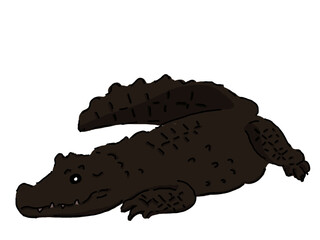 ニシアフリカコガタワニ