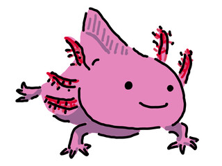 ウーパールーパー