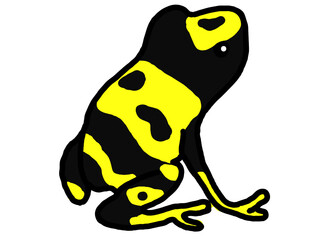 キオビヤドクガエル