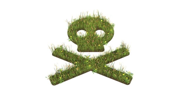 3d rendered grass field of symbol of skull crossbones isolated on white background