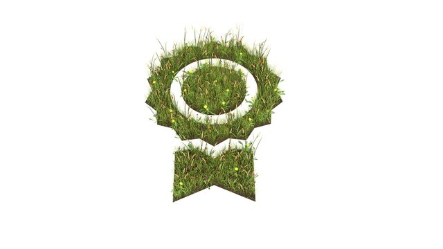 3d rendered grass field of symbol of prize isolated on white background