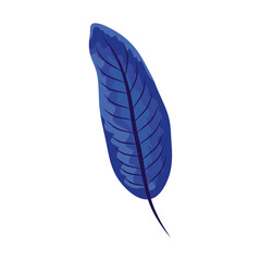 blue tropical leaf