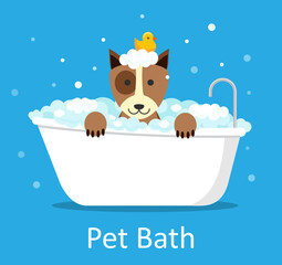 Cute dog wet in bathtub, clean terrier with funny foam soap and rubber duck on head. Pets indoors