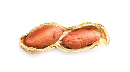 Cross section of peanut nutshell