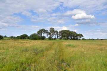Fototapeta premium Biebrza National Park, nature reserve, Podlasie,