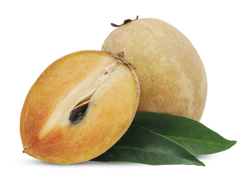 Chiku Bilder Durchsuchen 4,820 Archivfotos, und Videos