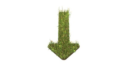 3d rendered grass field of symbol of long arrow down isolated on white background