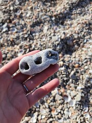 sea stone in a hand