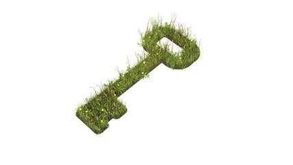 3d rendered grass field of symbol of key isolated on white background