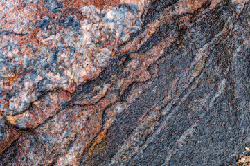 Textured red background. The texture of the sea stone is red-brown.