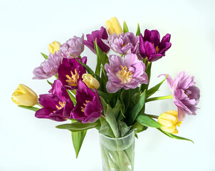 Bouquet of lilac tulips on a white background. Close-up.