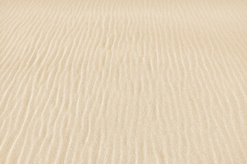Abstract sand stripes texture made by sea waves on beach. Summer background.