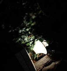 Night lamp in a focus shot with blur around