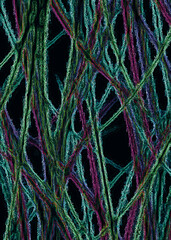 mikroskopische Faser