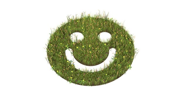 3d rendered grass field of symbol of emoticons smile isolated on white background