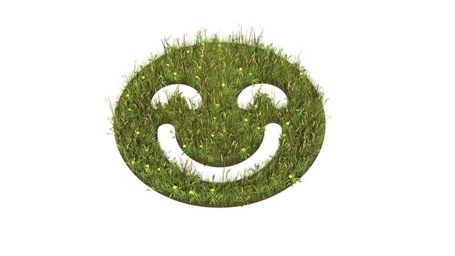 3d rendered grass field of symbol of emoticons happy isolated on white background