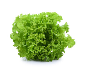 Fototapeta premium Salad leaf. Lettuce isolated on white background.