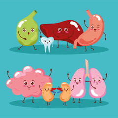 seven cute organs