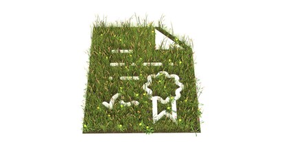 3d rendered grass field of symbol of diploma isolated on white background
