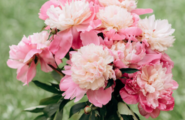 beautiful bouquet of pink peony flowers in a vase. womens day or wedding background . soft selective focus