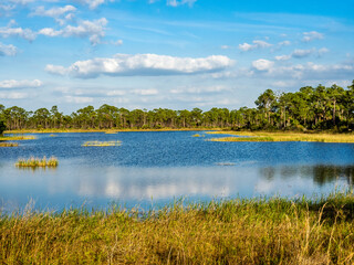 Webb Lake in Fred C. Babcock Cecil M. Webb Wildlife Management Area in Punta Gorda Florida USA