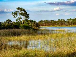 Webb Lake in Fred C. Babcock Cecil M. Webb Wildlife Management Area in Punta Gorda Florida USA