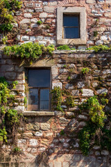 Fototapeta na wymiar Green plants on the old walls and windows